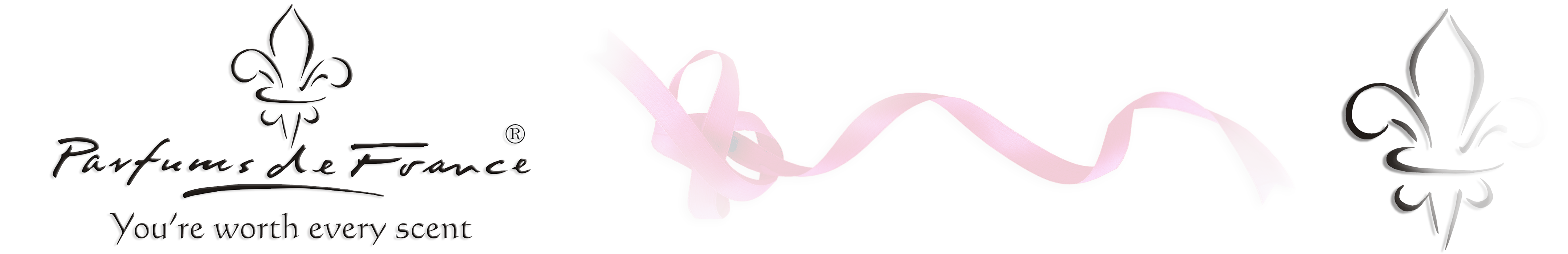 PARFUMS DE FRANCE HEADER